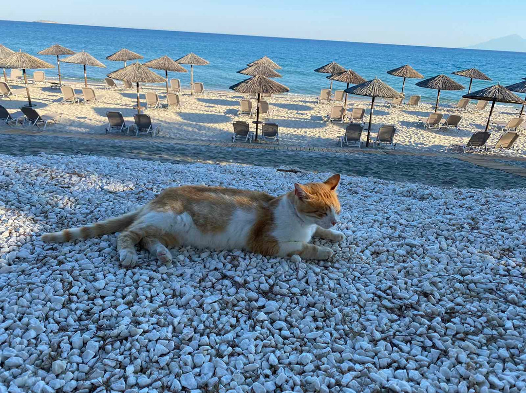 Thassos Hotel Grand Beach主图