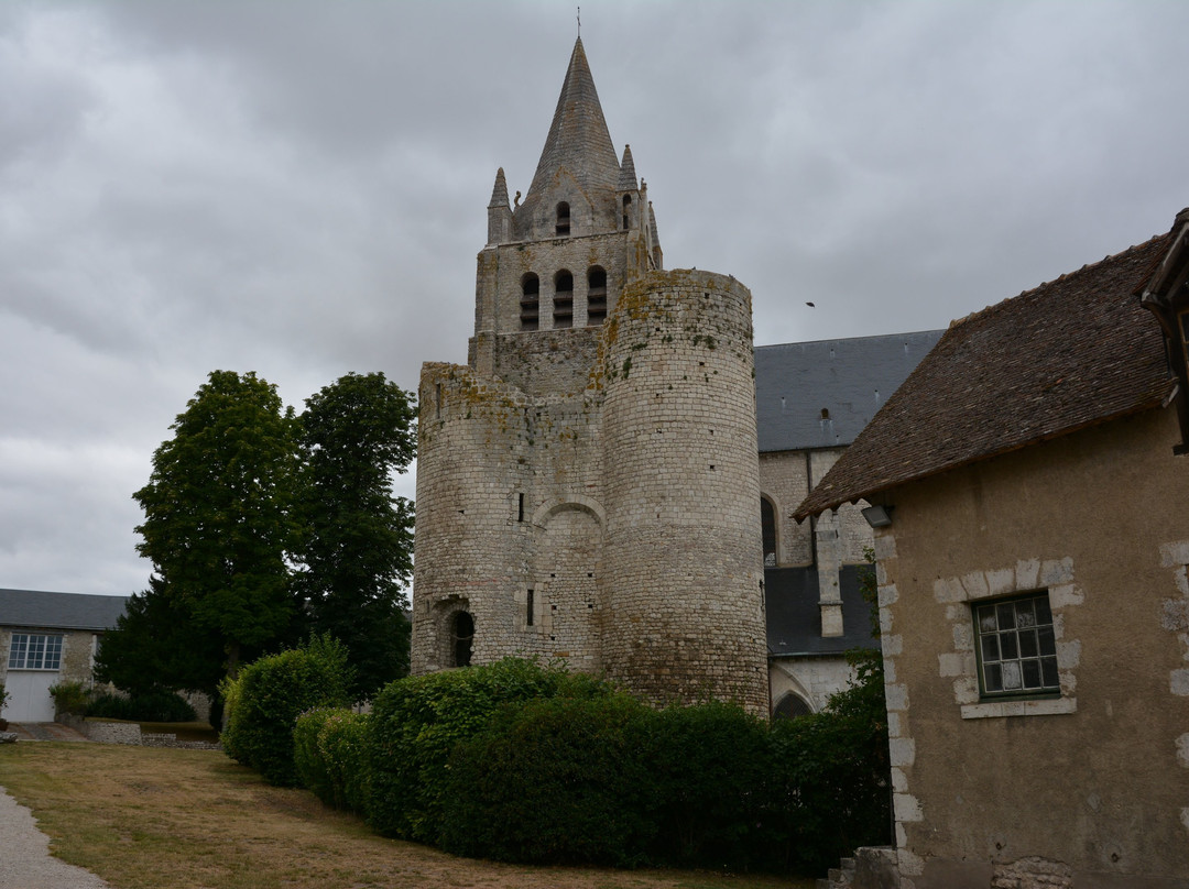 La Collégiale Saint-Liphard景点图片