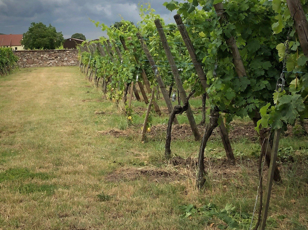 Domaine Weinbach-Kientzheim必去景点