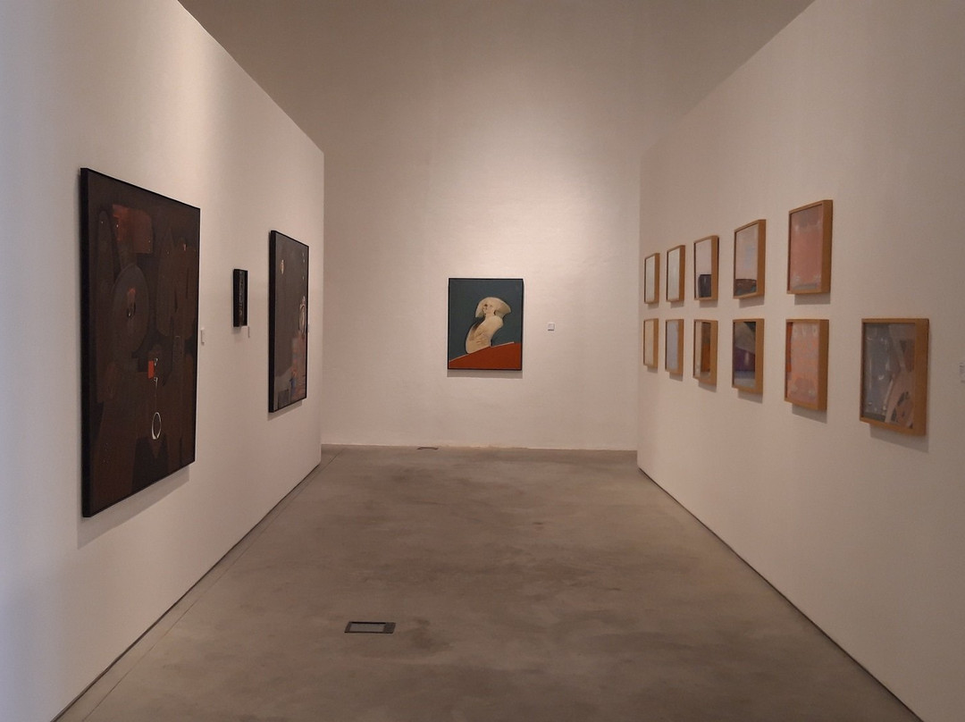 Fundacio Arranz-Bravo景点图片