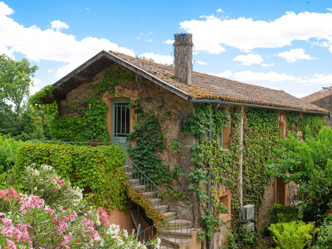 Château Hermitage De Combas主图