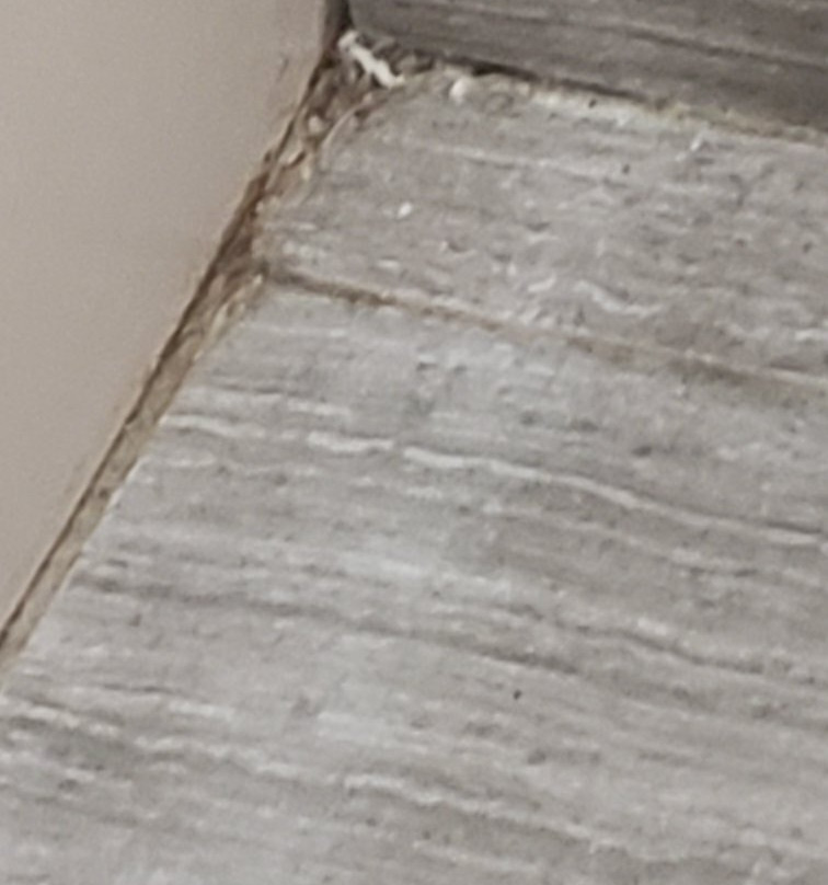 Baymont by Wyndham Galesburg主图