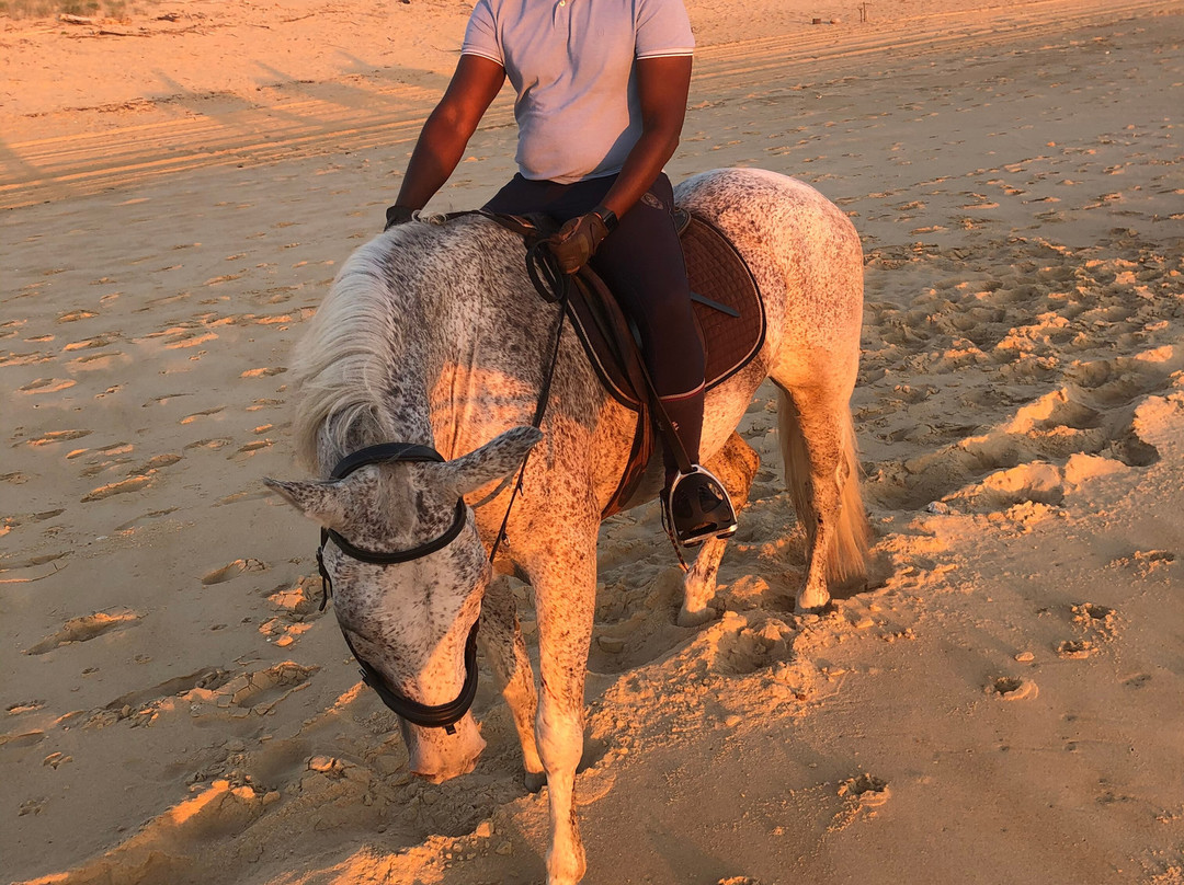 Centre Equestre de la Prade-Messanges必去景点