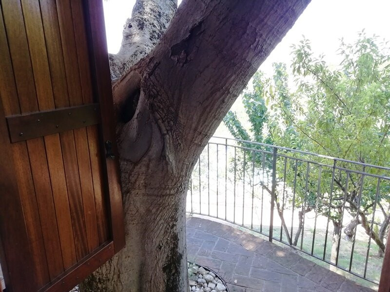 SetterHouse AgriHotel主图