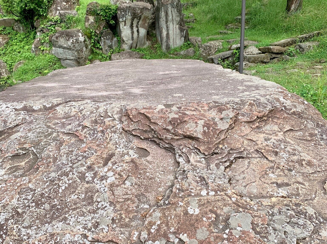 Old Garden of Kurushima景点图片