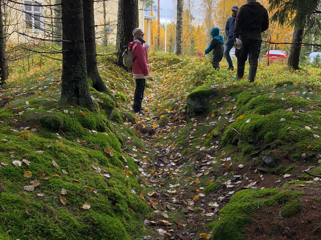 Aurinko Ilves Trail-Asikkala必去景点