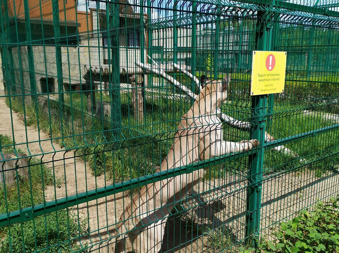 Belgorod Zoo景点图片