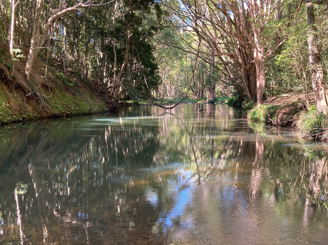 Currumbin Rock Pools-可伦宾必去景点