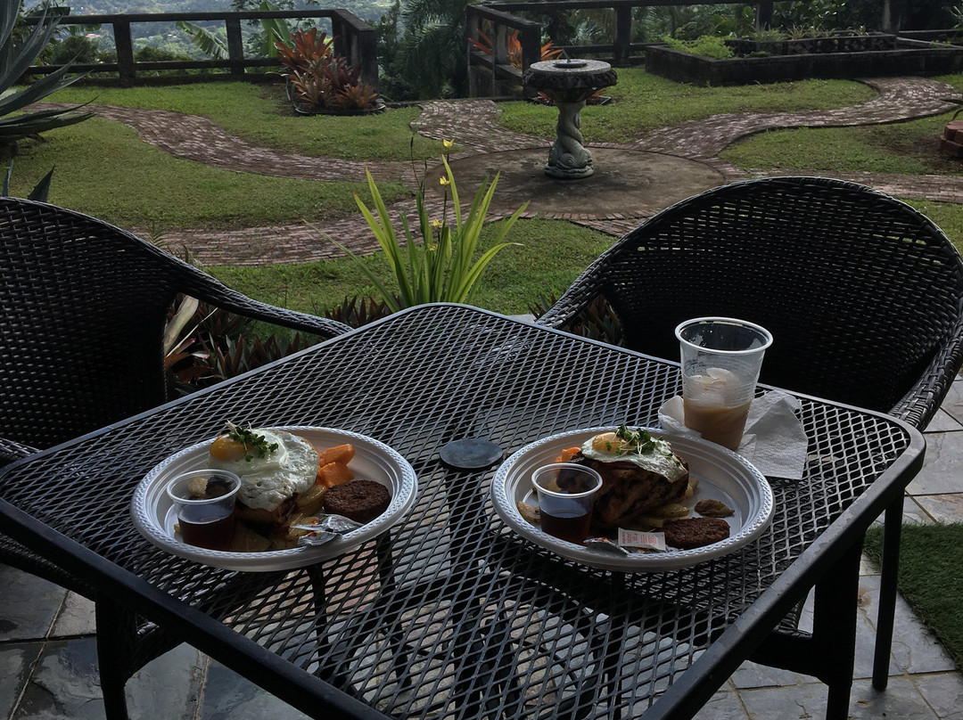 EL Yunque Rainforest Inn主图