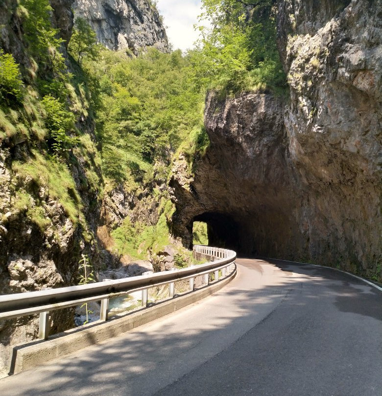 Orrido della Val Taleggio景点图片