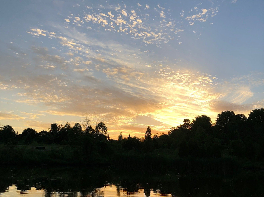 2023年11月L'Amoreaux North Park景点攻略L'Amoreaux North Park门票预订地址图片L