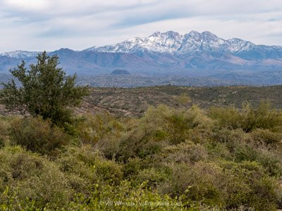 McDowell Mountain Regional Park-Fountain Hills必去景点
