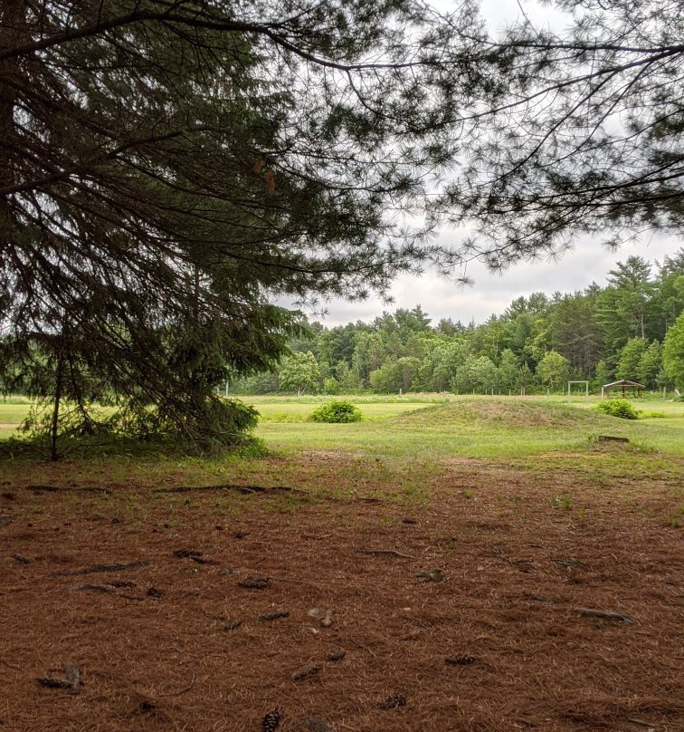 Algonquin Pines Campground主图