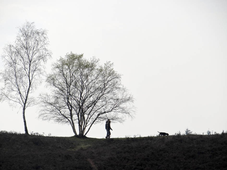 Renderklippen natuurgebied-Heerde必去景点