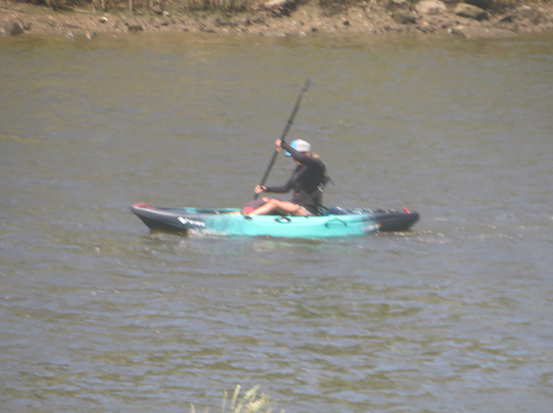 Napa Valley Paddle景点图片