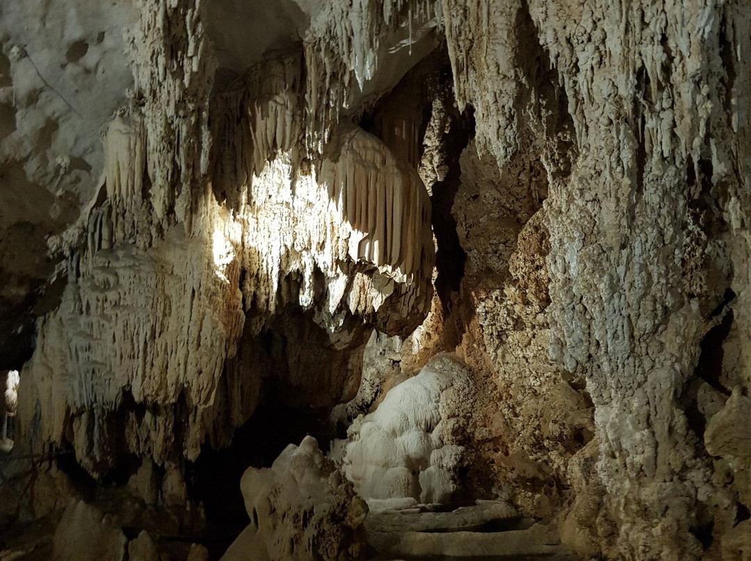 Grotta del Bue Marino-Cala Gonone必去景点
