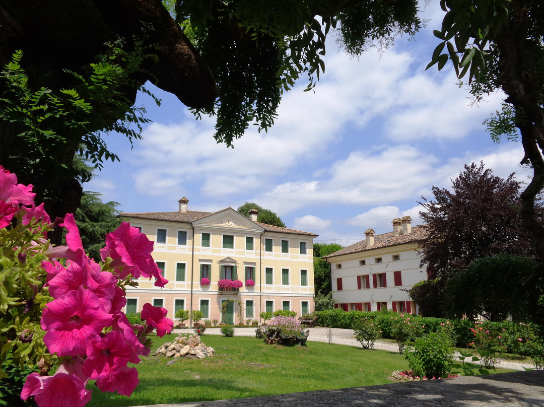 Villa Sernagiotto, ora Mazzarolo景点图片