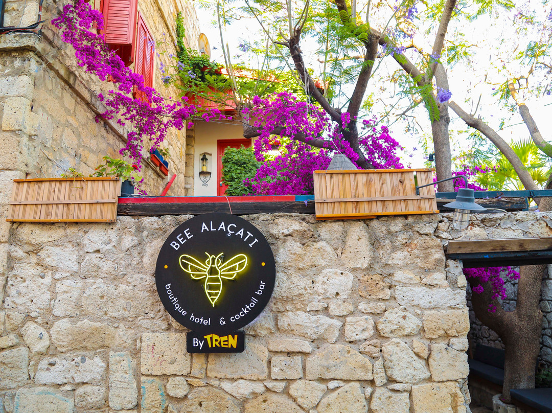 Bee Alacati Butik Otel主图