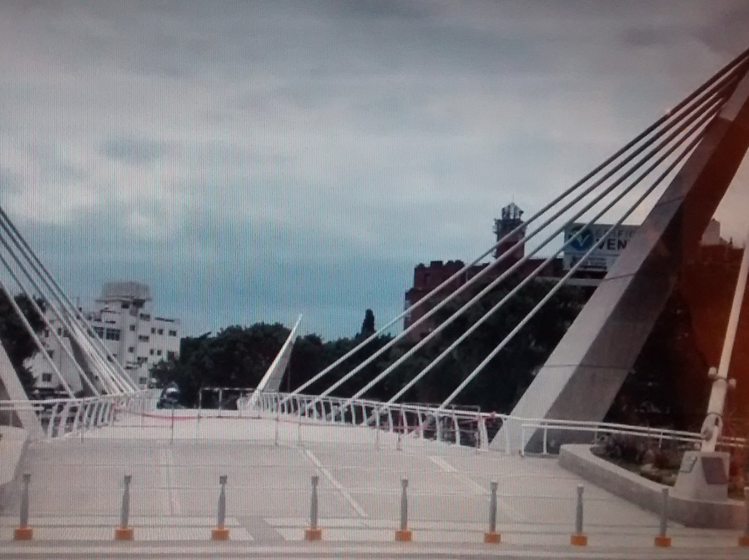 Puente del Centenario景点图片