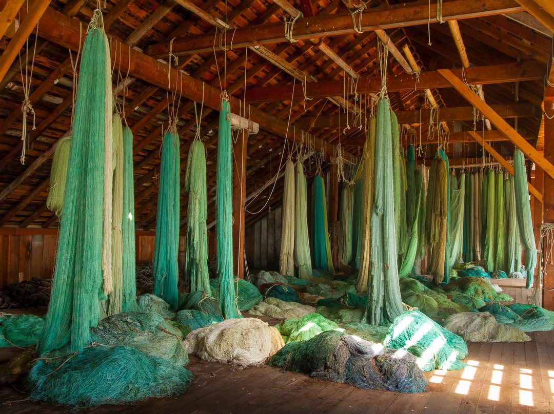 Tallheo Cannery Guest House主图