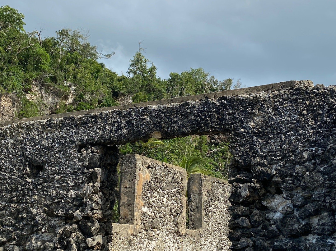 Ruinas de Puerto Hermina景点图片