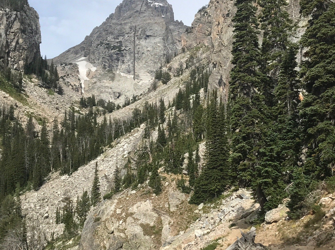 Lupine Meadows Trailhead景点图片