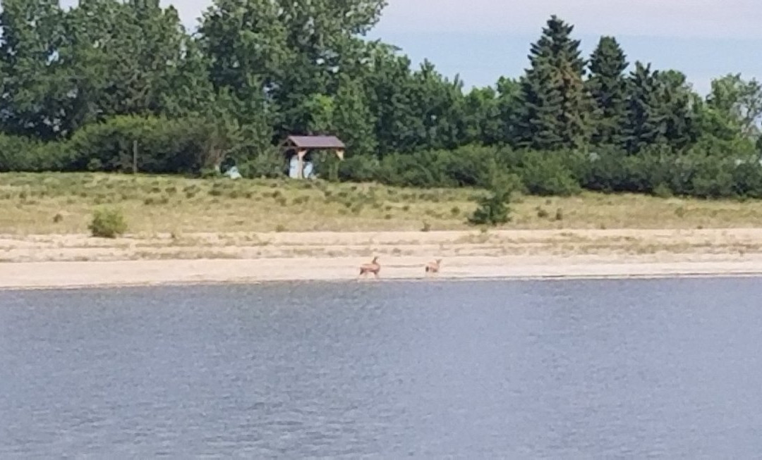 Danielson Provincial Park-Elbow必去景点