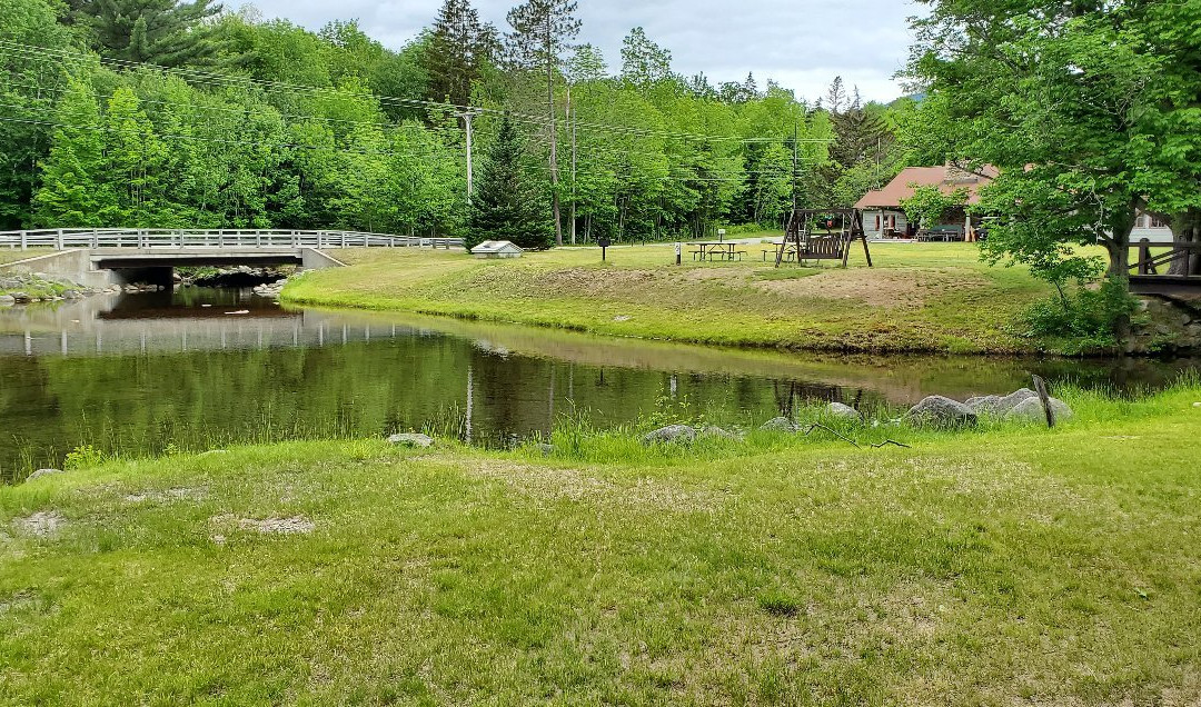 Moose Brook State Park景点图片