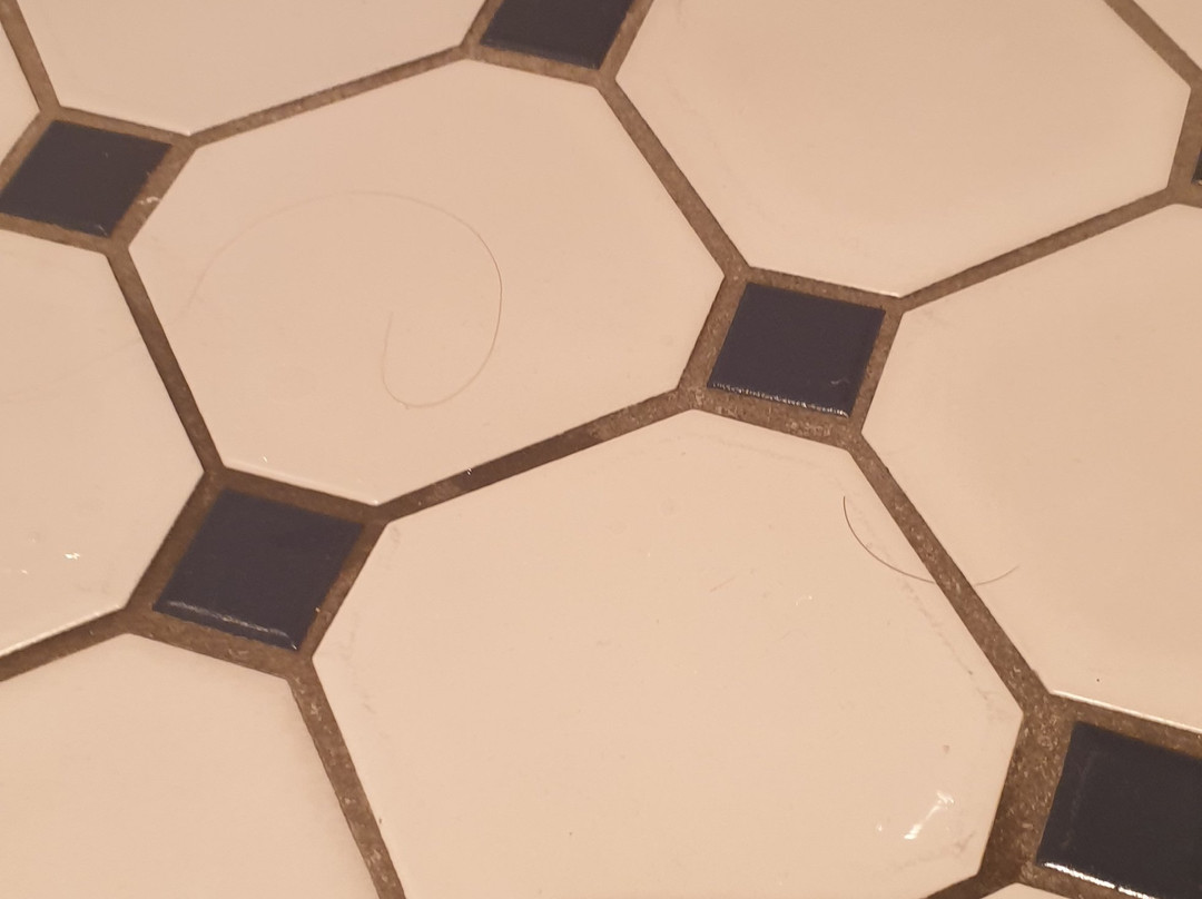 Squid's Ink Hotel主图