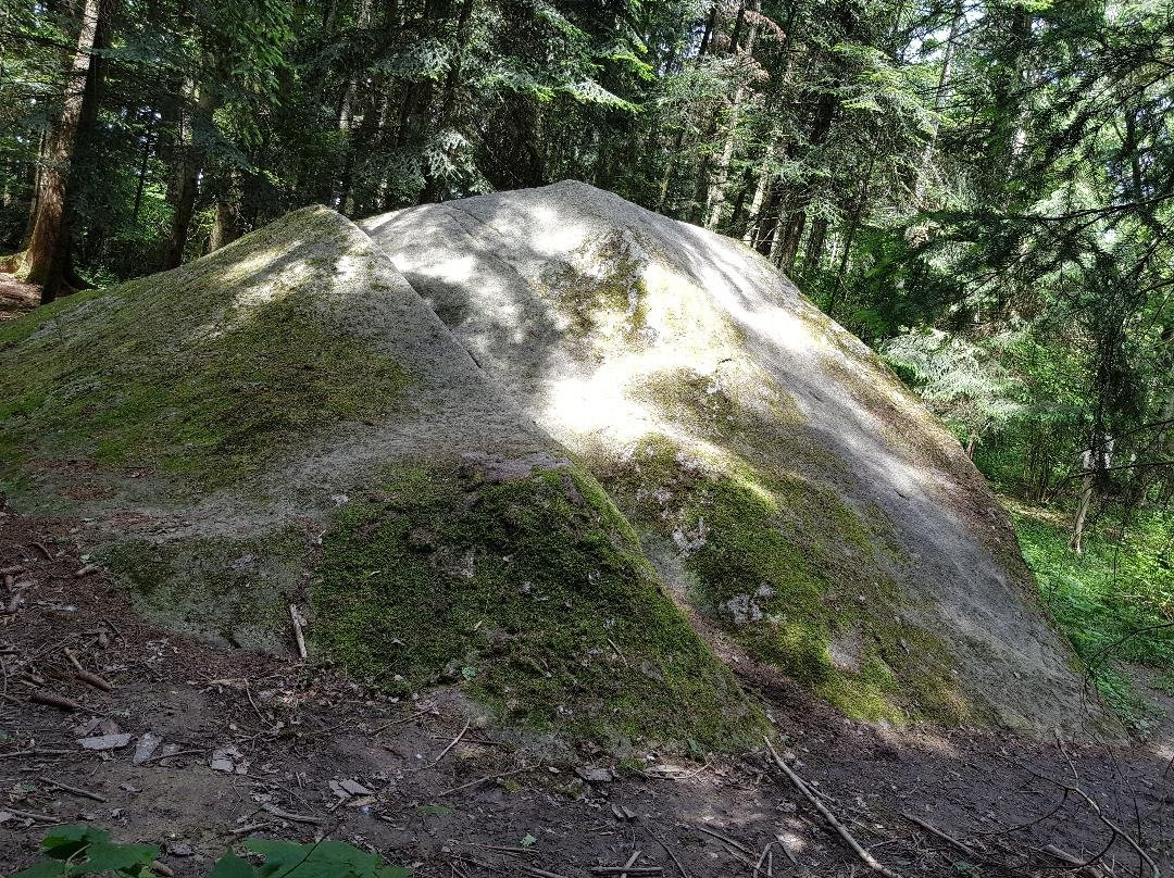 La Pierre aux Serpents-Arenthon必去景点