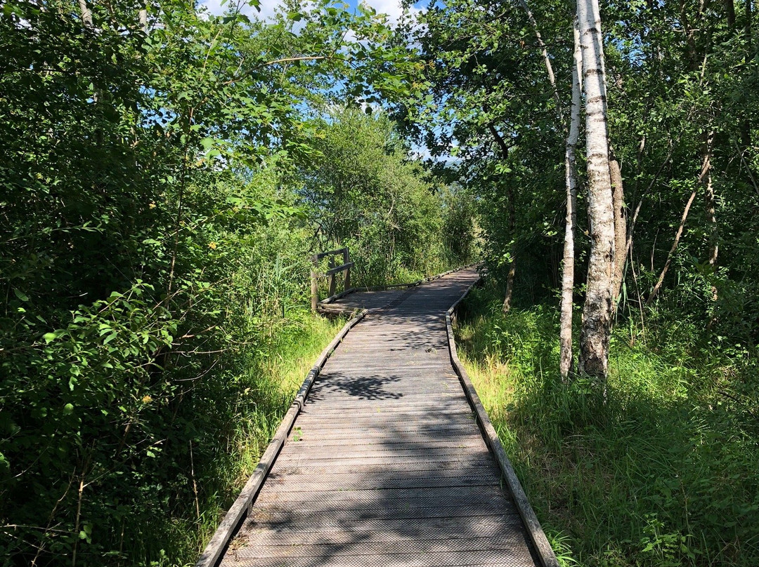 Réserve Naturelle du Marais de Lavours-Ceyzerieu必去景点