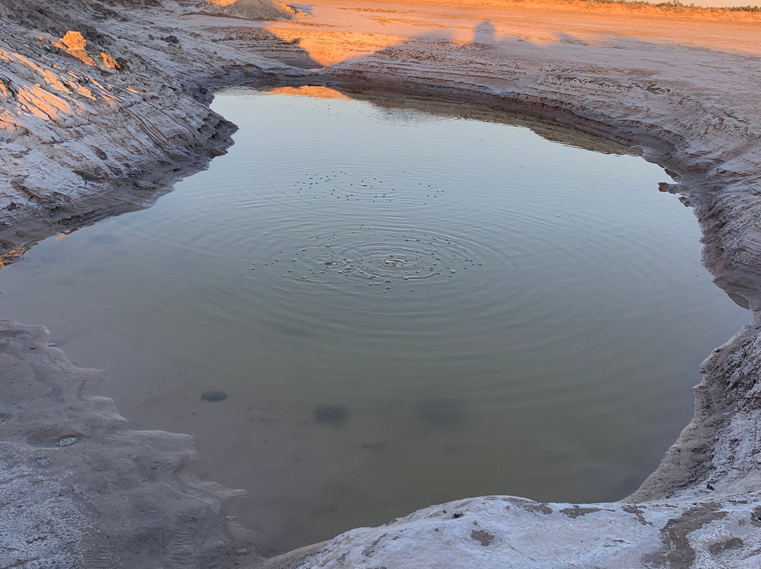 Salton Sea Mud Volcanoes景点图片