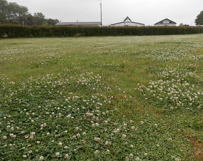 Kinu Green Park-高根泽町必去景点