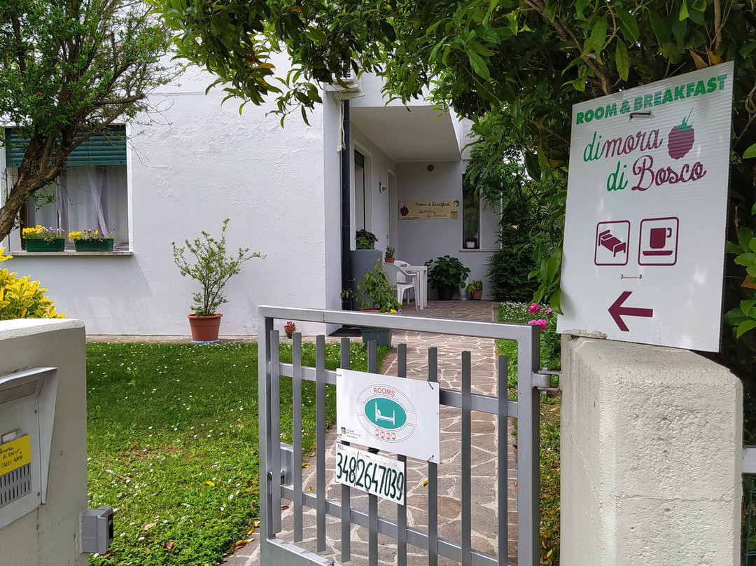 Dimora di Bosco Room & Breakfast主图