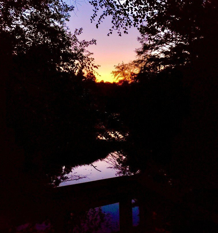 Reed Bingham State Park-Adel必去景点