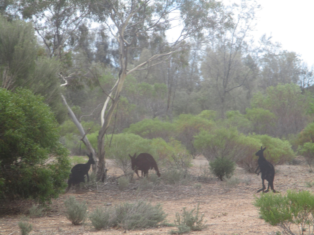 Moonta Heritage Trail 38景点图片