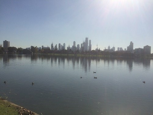 Albert Park Lake景点图片