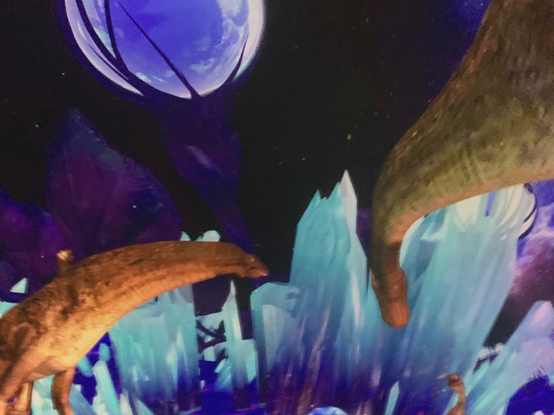 Ho May Park-头顿必去景点