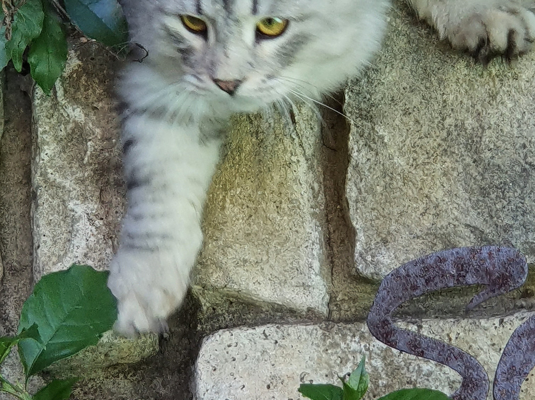 Amanzi Guest House主图