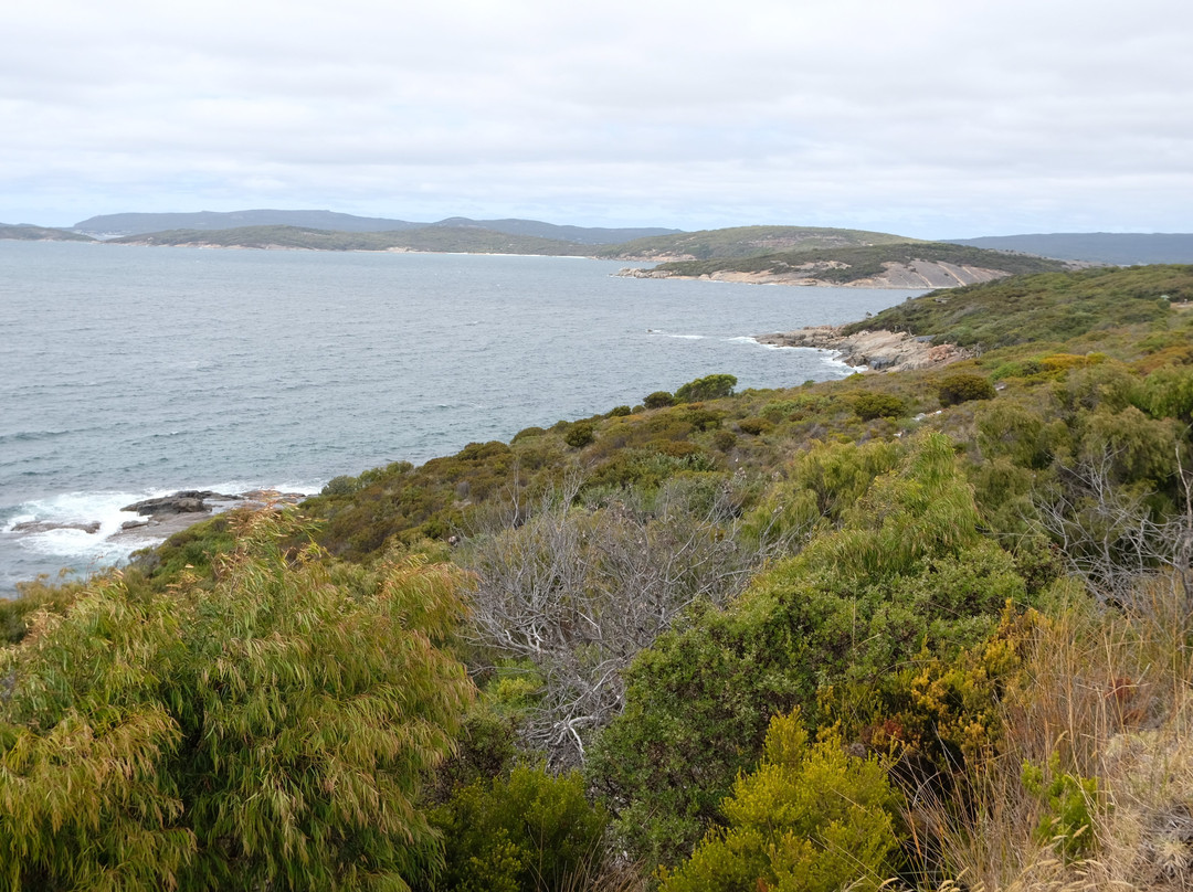 Ellen Cove Boardwalk-奥尔巴尼必去景点