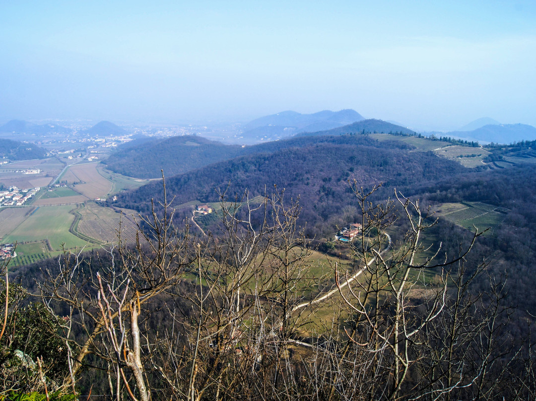 Ruderi Castello di Speronella a Rocca Pendice景点图片