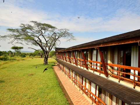 瑟洛尼拉野生旅馆主图