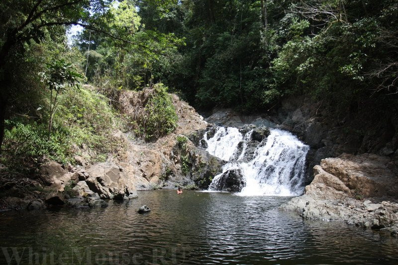 Gamboa Rainforest Resort Chunga Chagres Tour景点图片
