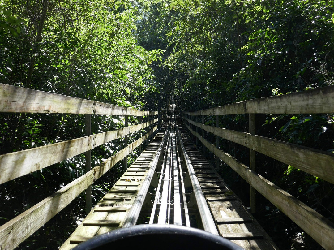Mystic Mountain-奥乔里奥斯必去景点