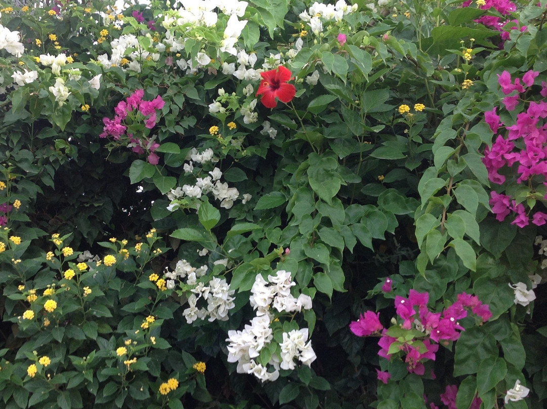 Marvel Tree Hotel Bozyazi主图