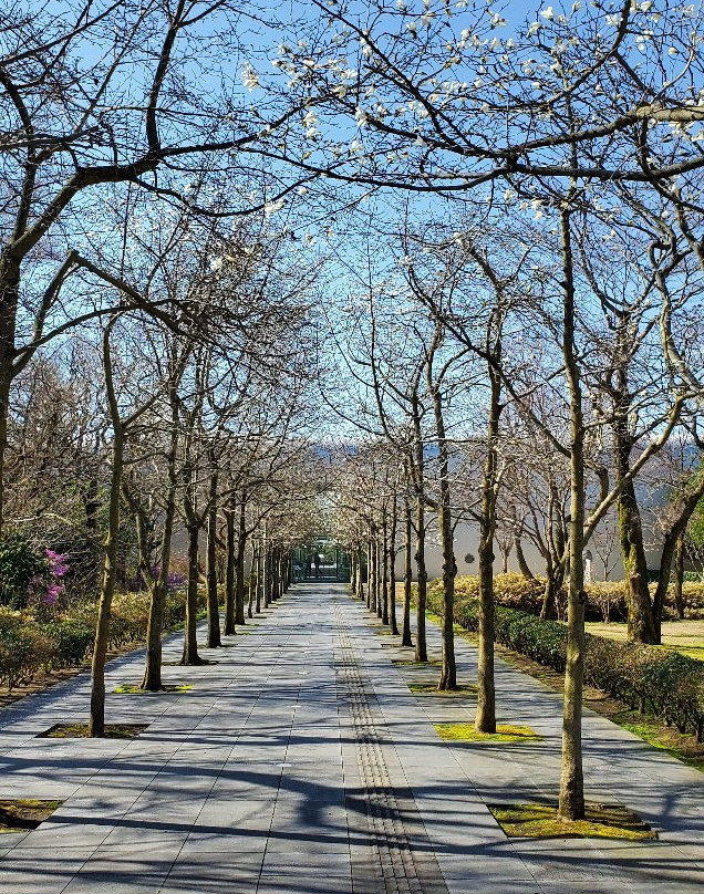 Kirishima Open-Art Museum-涌水町必去景点