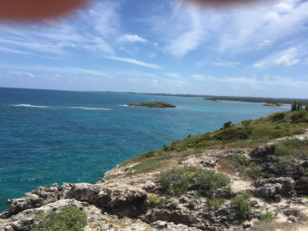 Great Bird Island-圣 约翰必去景点