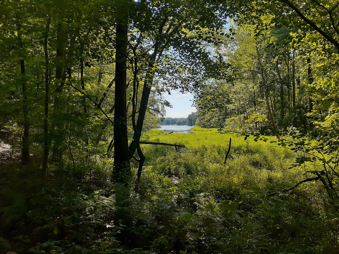 Tombigbee State Park景点图片