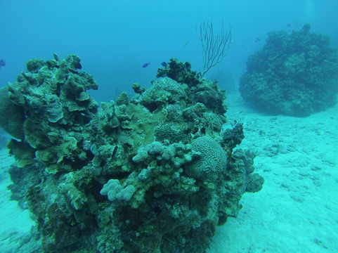 Cayman Diving-七哩滩必去景点
