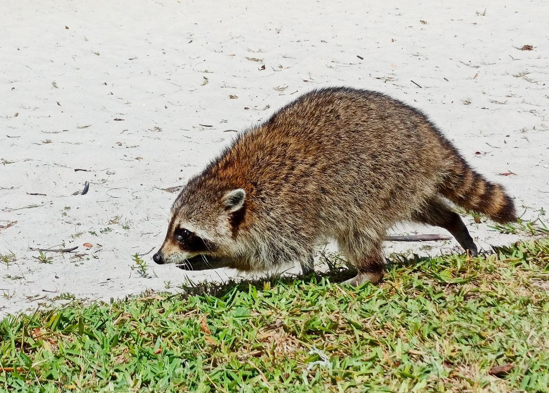 Homestead Bayfront Park-霍姆斯特德必去景点